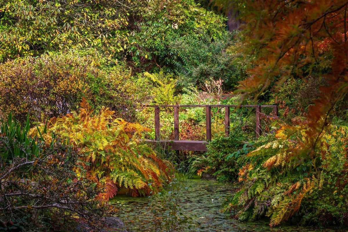 Botanical Gardens, Birmingham